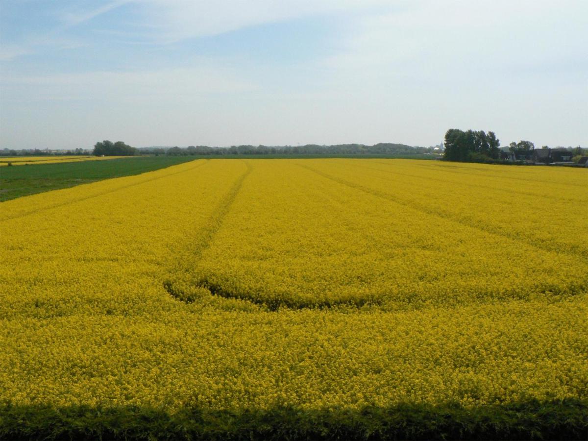 Ein Haus Am Kornfeld Fehmarn Exterior foto